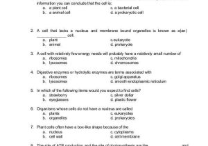 Cell organelles and their Functions Worksheet Answers Along with Module Cell Structure and Function