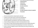 Cell organelles and their Functions Worksheet Answers together with Cell organelles and their Functions Worksheet Answers New Cell