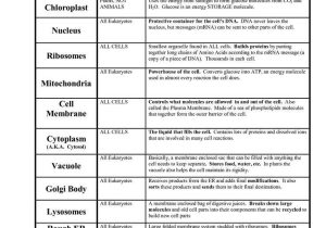 Cell organelles and their Functions Worksheet Answers with 266 Best Biology Cell theory organelles Images On Pinterest