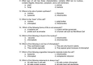 Cell organelles and their Functions Worksheet Answers with Module Cell Structure and Function