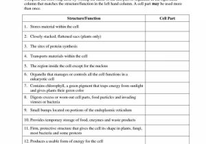 Cell organelles and their Functions Worksheet as Well as New Cell organelles Worksheet Lovely Worksheet Templates Osmosis