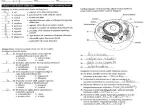 Cell organelles Worksheet Answer Key and Up Ing Cell Membrane Coloring Worksheet Answers Tips totaltravel Us
