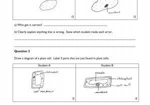 Cell organelles Worksheet Answer Key as Well as Ks4 Cells organs and Systems Ks4