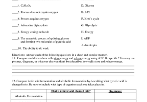 Cell organelles Worksheet Answer Key as Well as Photosynthesis Worksheet Google Search