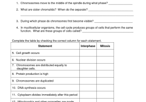 Cell organelles Worksheet Answer Key Biology Also Mitosis Worksheet Cells Synthesis Mitosis