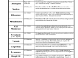 Cell organelles Worksheet Answer Key Biology together with Eukaryotic Cell Structure and Function Chart Google Search