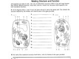 Cell organelles Worksheet Answer Key Biology with the Cell Worksheet 342dfc312a9b Battk