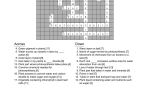 Cell Parts and Functions Worksheet Answers Along with Differentiated Synthesis Reading Passage Crossword Puzzle