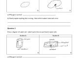 Cell Parts and Functions Worksheet Answers as Well as Ks4 Cells organs and Systems Ks4
