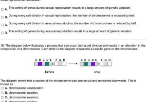Cell Reproduction Worksheet Answers Also 24 New Cell Reproduction Worksheet Answers