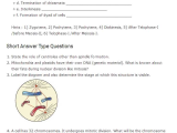 Cell Reproduction Worksheet Answers and Important Questions for Class 11 Biology Chapter 10 Cell Cycle and
