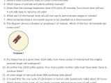 Cell Reproduction Worksheet Answers with Important Questions for Class 11 Biology Chapter 10 Cell Cycle and