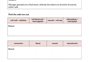 Cell Structure and Function Worksheet and Ks4 Cells organs and Systems Ks4