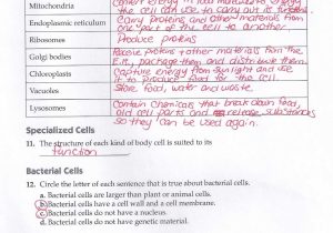 Cell Structure and Function Worksheet and Looking Inside Cells Worksheet Choice Image Worksheet Math for Kids