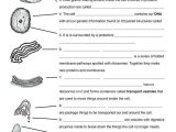 Cell Structure and Function Worksheet Answer Key Along with Inspirational Cell organelles Worksheet Unique 112 Best Cells