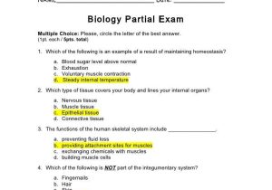 Cell Structure and Function Worksheet Answer Key Also Niedlich Anatomy and Physiology Quiz Level 2 Galerie Menschliche
