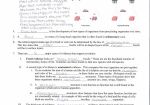 Cell Structure and Function Worksheet Answers Chapter 3 as Well as Worksheet Chapter 7 Cell Structure and Function Worksheet Answer