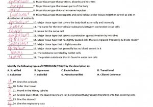 Cell Structure and Function Worksheet Answers Chapter 3 with Ausgezeichnet Anatomy and Physiology Chapter 3 Cells and Tissues