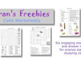 Cell Structure and Processes Worksheet Answers as Well as Worksheets 48 Awesome Cell organelles Worksheet Hi Res Wallpaper