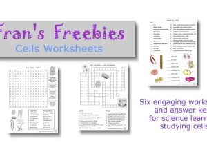Cell Structure and Processes Worksheet Answers as Well as Worksheets 48 Awesome Cell organelles Worksheet Hi Res Wallpaper