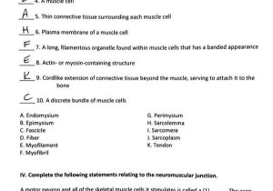 Cell Structure and Processes Worksheet Answers with Großzügig Anatomy and Physiology 1 Worksheet for Tissue Types