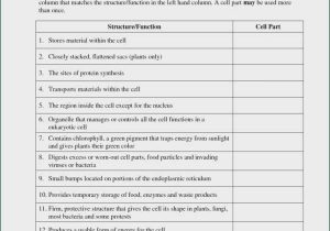 Cell Transport Review Worksheet Answers and Factor by Grouping Worksheet