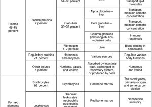 Cell Transport Review Worksheet or File 1915 Table 19 01 Major Blood Ponents