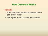 Cell Transport Webquest Worksheet Answers together with Osmosis and tonicity Worksheet Best Beautiful Cell Membrane