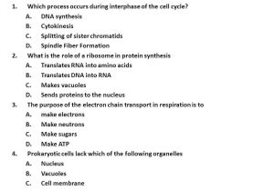 Cell Transport Webquest Worksheet Answers with 15 Fresh Cell Transport Review Worksheet Answers S