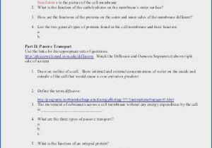 Cell Transport Webquest Worksheet Answers with Homeostasis Questions and Answers Pdf Table Description Responding