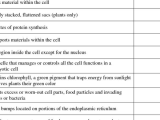 Cell Transport Worksheet and Diffusion and Active Transport Worksheet Wallpapers 42