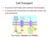 Cell Transport Worksheet Answers and Free Download 73 Cell Transport Worksheet Answers Goodsnyc
