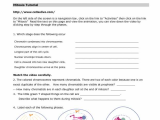 Cells Alive Cell Cycle Worksheet Also Worksheets 47 New Mitosis Worksheet Full Hd Wallpaper Graphs