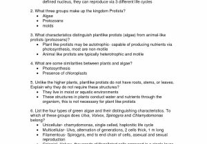 Cells Alive Plant Cell Worksheet Answer Key Along with Cell Review Worksheet Gallery Worksheet for Kids In English