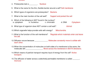Cells Alive Plant Cell Worksheet Answer Key Also Cell Structure Worksheet Beautiful Cell Structure and Functions