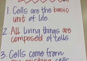 Cells and organelles Worksheet Along with Cell theory Anchor Chart My Very Own Creations Pinterest