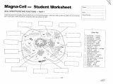 Cells and organelles Worksheet Also Inside the Cell Worksheet Answers Best 710 Best Cells