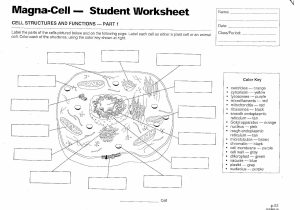 Cells and organelles Worksheet Also Inside the Cell Worksheet Answers Best 710 Best Cells