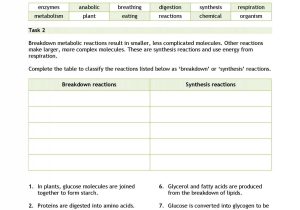 Cells and organelles Worksheet as Well as Ks4 Cells organs and Systems Ks4