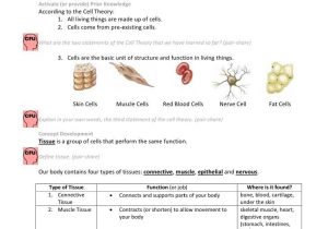 Cells Tissues organs organ Systems Worksheet and Cell & Tissue Handout