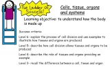 Cells Tissues organs organ Systems Worksheet as Well as Cells organs & Tissues Lessons Ppt Video Online