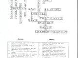 Cellular Respiration Breaking Down Energy Worksheet Along with Synthesissword Puzzle Worksheet Worksheets for All Answers