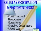 Cellular Respiration Breaking Down Energy Worksheet and Literacy Strategies for Biology Cellular Respiration and