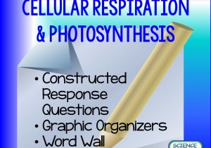 Cellular Respiration Breaking Down Energy Worksheet and Literacy Strategies for Biology Cellular Respiration and