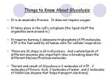 Cellular Respiration Breaking Down Energy Worksheet Answers Along with Glycolysis for Dummies Bio243 Pinterest