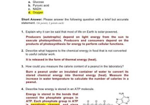 Cellular Respiration Breaking Down Energy Worksheet Answers Along with New Synthesis and Cellular Respiration Worksheet Lovely 200