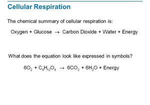 Cellular Respiration Breaking Down Energy Worksheet Answers or 19 Inspirational Cellular Respiration Worksheet Answers