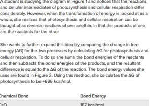 Cellular Respiration Breaking Down Energy Worksheet Answers together with Free Energy Photosynthesis and Cellular Respiration Practice