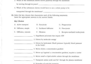 Cellular Respiration Overview Worksheet Chapter 7 Answer Key and Ziemlich Study Guide for Human Anatomy and Physiology Answers