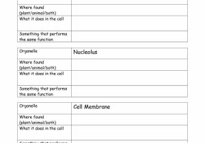 Cellular Structure and Function Worksheet Along with 11 Elegant Animal and Plant Cells Worksheet Answers Stock